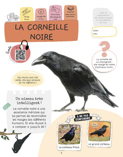 Je sais reconnaître les oiseaux