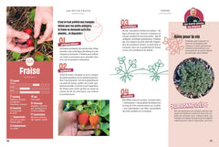 Pierre le cultivateur - Réussir son potager