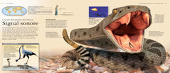 Les Reptiles