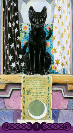 Coffret le tarot des chats païens