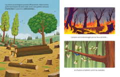 Les réponses à mes grandes questions - les arbres ont-ils un langage secret ? - Une première découverte de la dendrologie