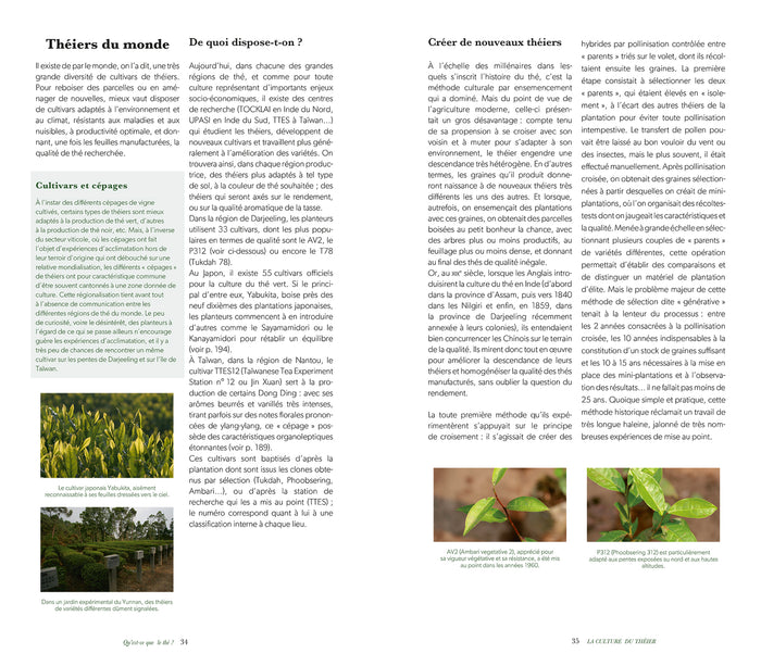Le guide de dégustation de l'amateur de thé - Nouvelle édition