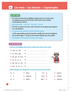 Petit cahier Larousse d'orthographe et de dictées CE1
