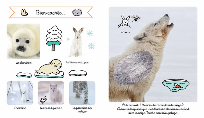 Les animaux du froid