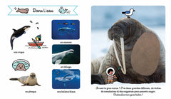 Les animaux du froid