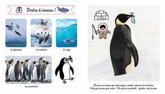 Les animaux du froid