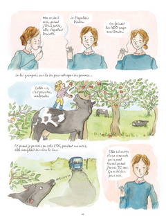 Terre ferme