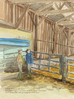 Terre ferme
