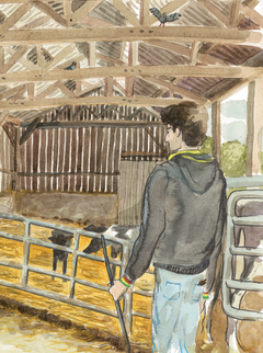 Terre ferme