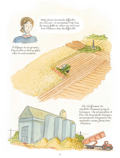 Terre ferme