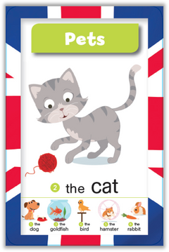 Qui sera le champion en anglais ?