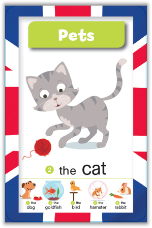 Qui sera le champion en anglais ?