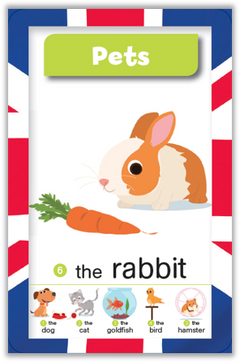 Qui sera le champion en anglais ?