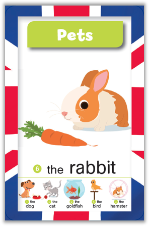 Qui sera le champion en anglais ?