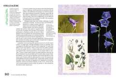 La vie sexuelle des fleurs