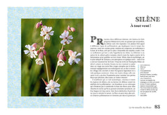 La vie sexuelle des fleurs