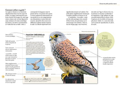 Reconnaître facilement les oiseaux du jardin - Photos grandeur nature