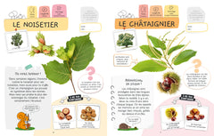 Je sais reconnaître les arbres