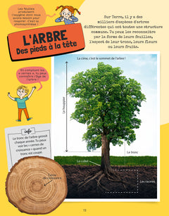 Je sais reconnaître les arbres
