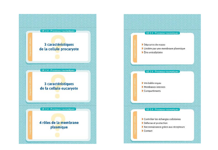 Flashcards IFSI. Toute l'UE 2 du semestre 1: Entrainement intensif