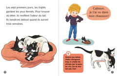 Les docs de Lou : tout sur les chats !