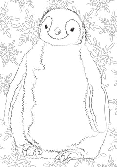 Bébés animaux