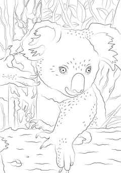 Bébés animaux