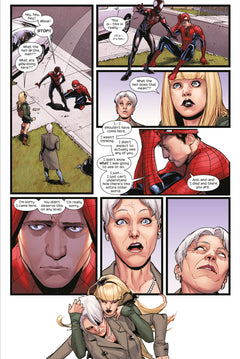 Marvel-Verse : Spider-Men