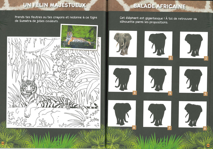 Mon cahier de CM1 - Une saison au Zoo