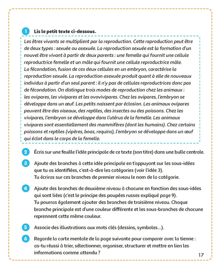 Mon kit 100 % réussite - organisation, efficacité