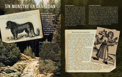Les grands mystères de l'Histoire de France