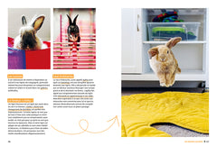 Pourquoi mon lapin fait-il ça ?