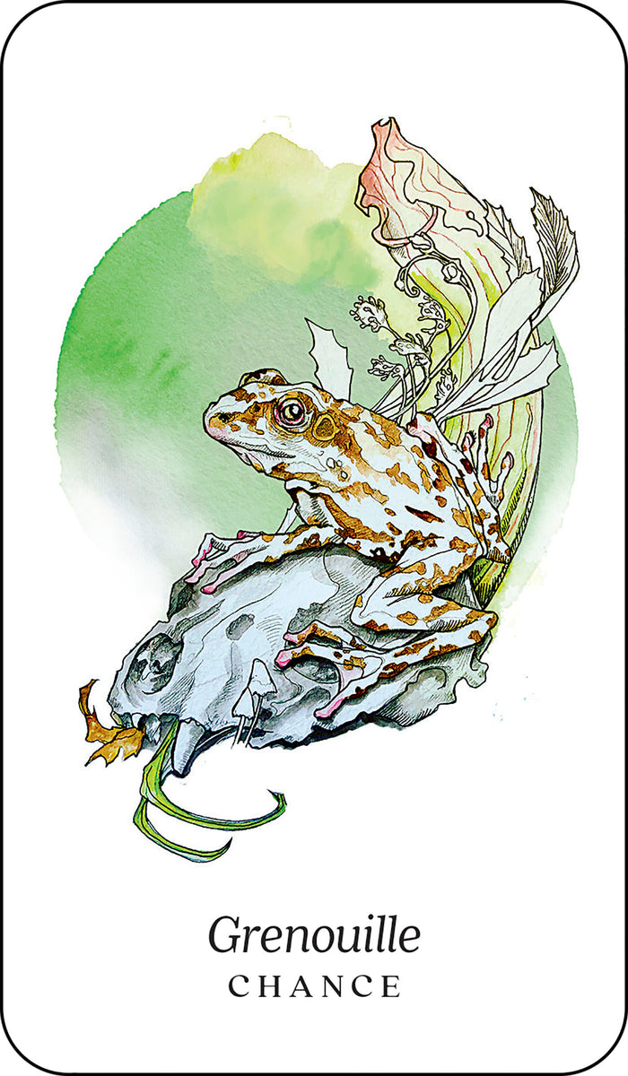 L'oracle des animaux de la forêt boréale