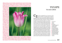 La vie sexuelle des fleurs