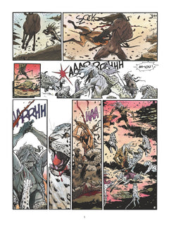 La légende du lama blanc - La plus belle illusion