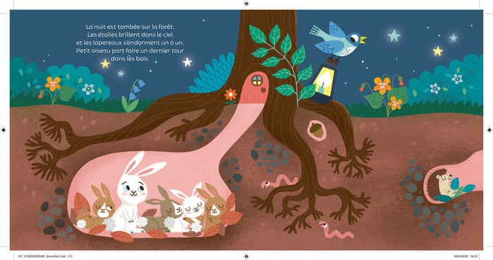 Mon livre son et lumière, Bonne nuit !