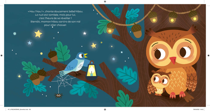 Mon livre son et lumière, Bonne nuit !