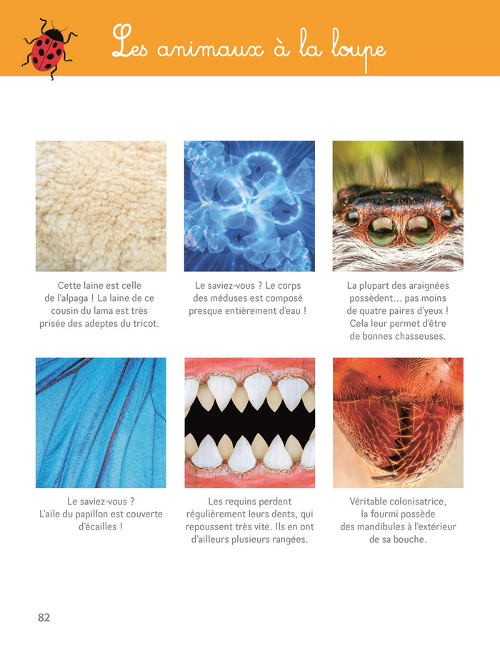 Mon grand cahier Montessori de la nature