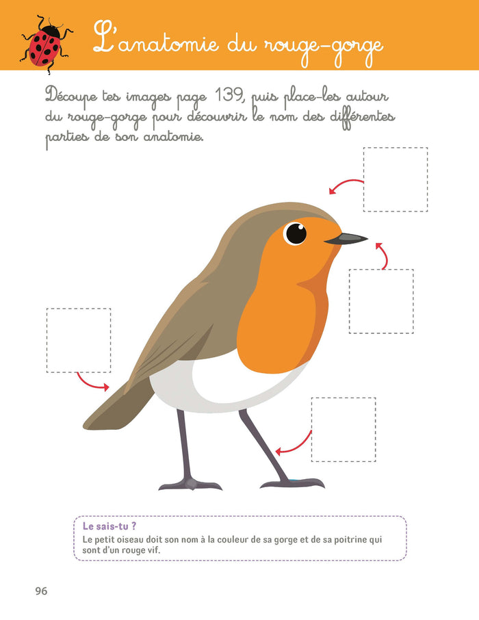 Mon grand cahier Montessori de la nature