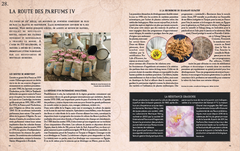 La Grande Histoire du parfum
