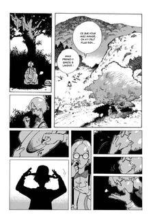 Fleurs de pierre T01 - PRIX BD DU PATRIMOINE - ANGOULEME 2023