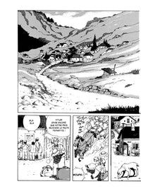 Fleurs de pierre T01 - PRIX BD DU PATRIMOINE - ANGOULEME 2023