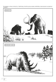 L'art préhistorique en BD - Intégrale