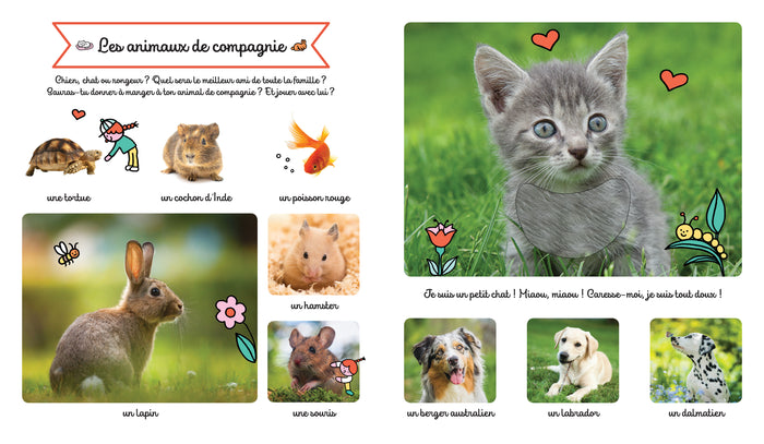 Le grand imagier des animaux à toucher