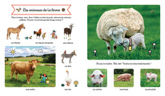 Le grand imagier des animaux à toucher