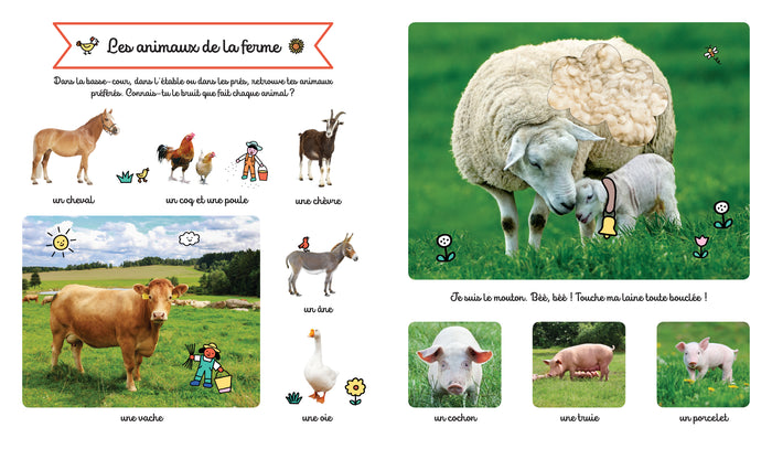 Le grand imagier des animaux à toucher