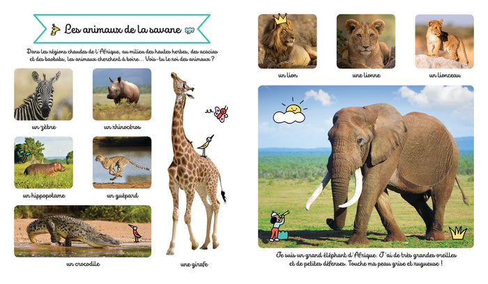 Le grand imagier des animaux à toucher