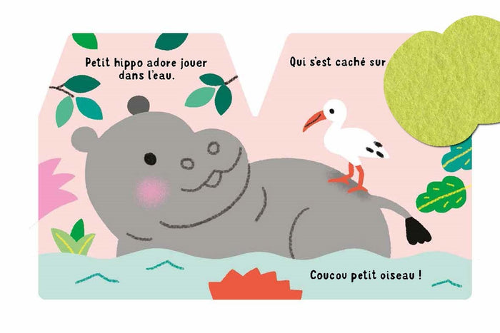 Cache-cache petit hippo