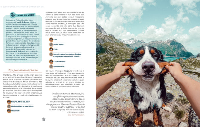 Un van, un chien, deux chats, en route !