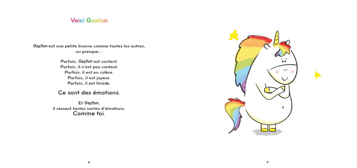 Mes émotions avec une roue des émotions